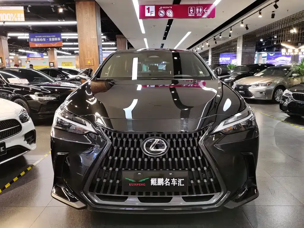 Lexus NX — фото 6