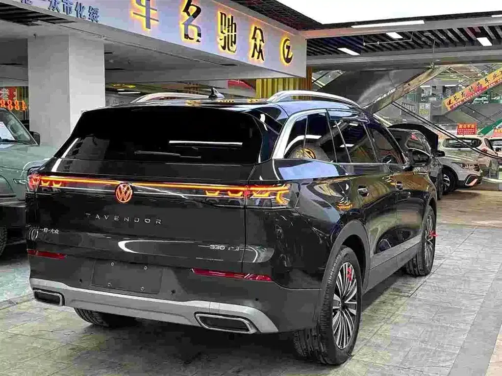 Volkswagen Tavendor 2023 из CN, фото 4