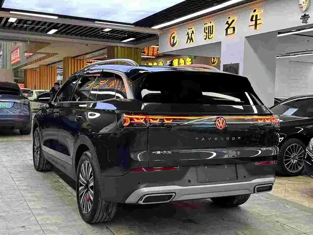Volkswagen Tavendor 2023 из CN, фото 6