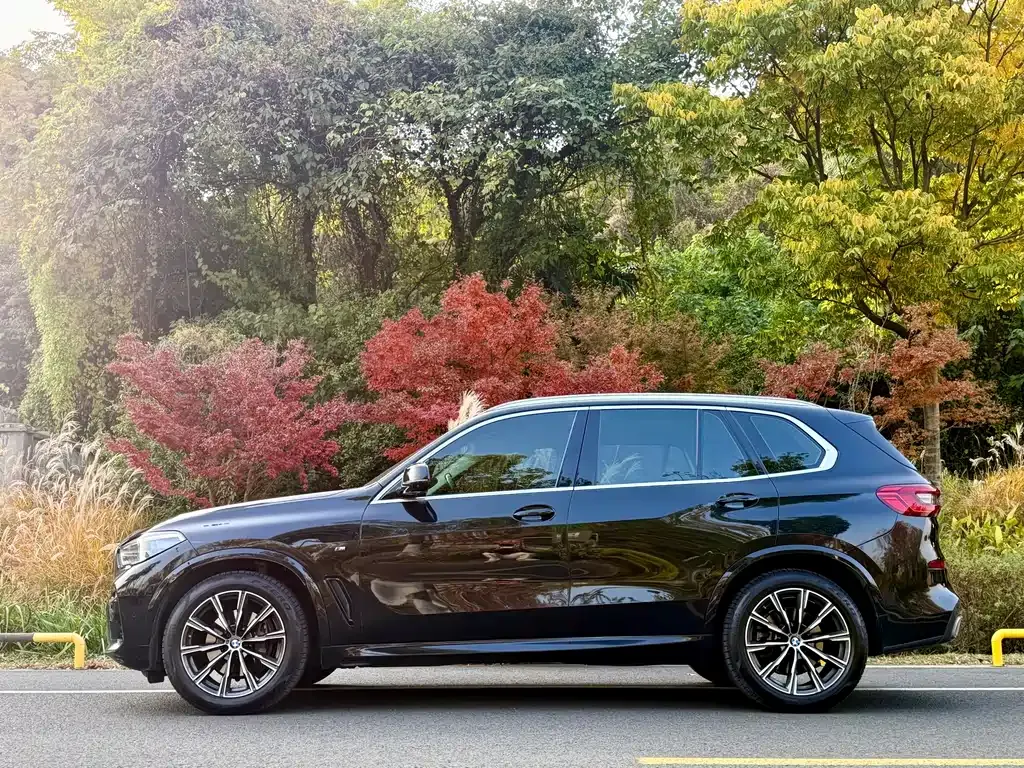 BMW X5 (Import) — фото 7