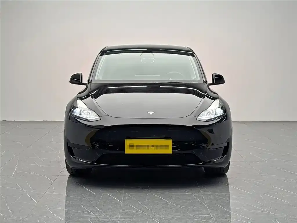 Tesla Model Y 2023 из CN, фото 2