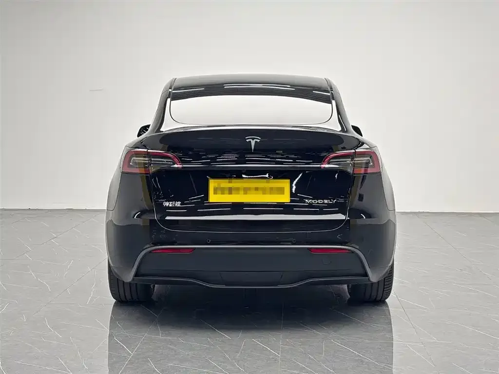 Tesla Model Y 2023 из CN, фото 5