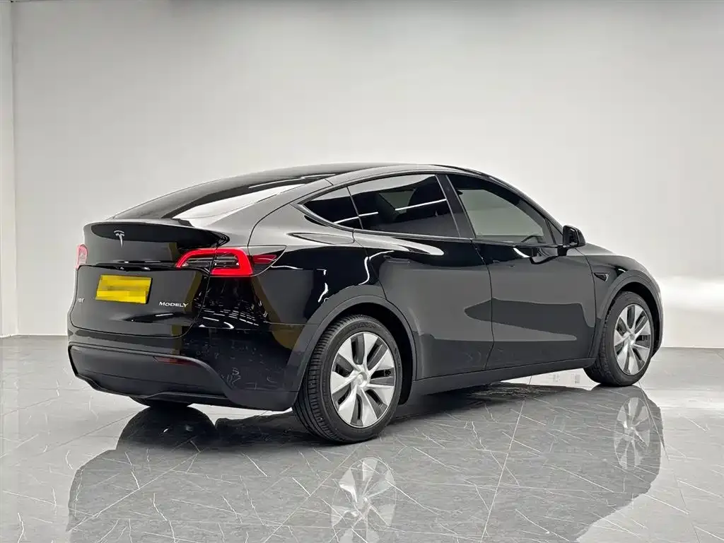 Tesla Model Y 2023 из CN, фото 6