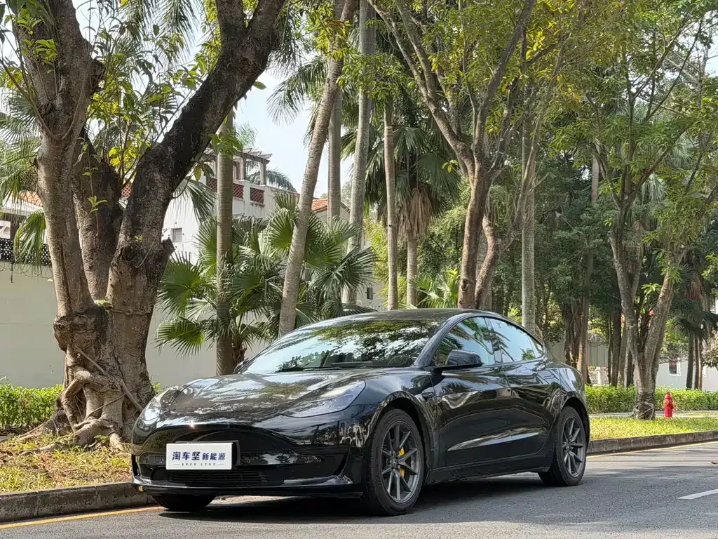 Tesla Model 3 2022 из CN, фото 1