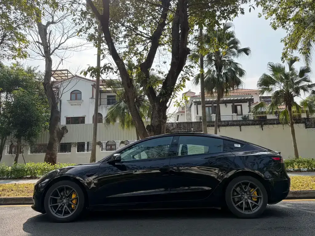 Tesla Model 3 2022 из CN, фото 2