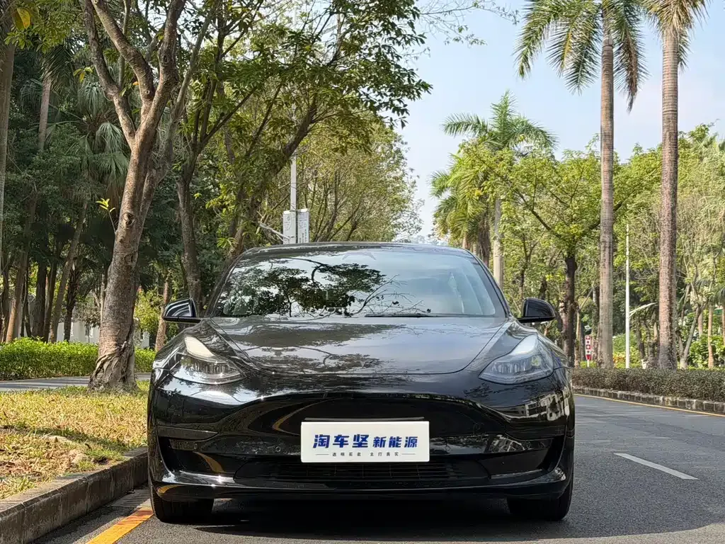 Tesla Model 3 2022 из CN, фото 4