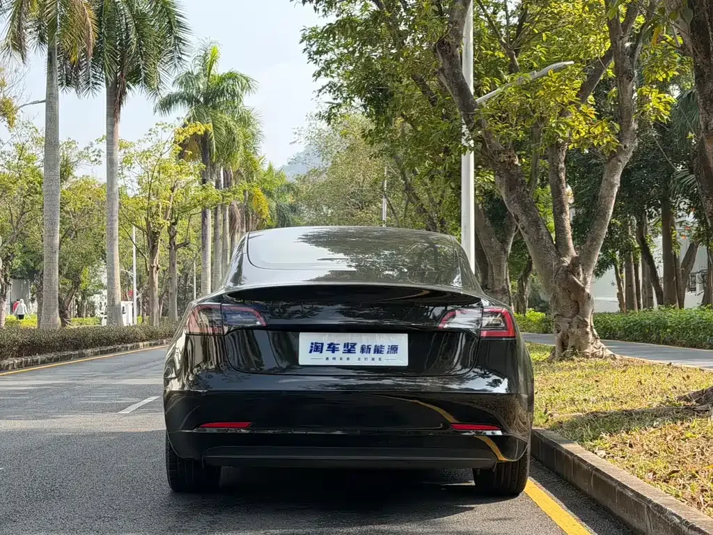 Tesla Model 3 2022 из CN, фото 5