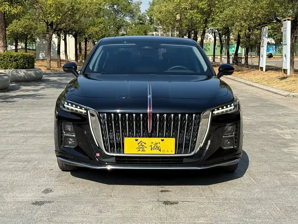 Hongqi H5 2022 из CN, фото 2