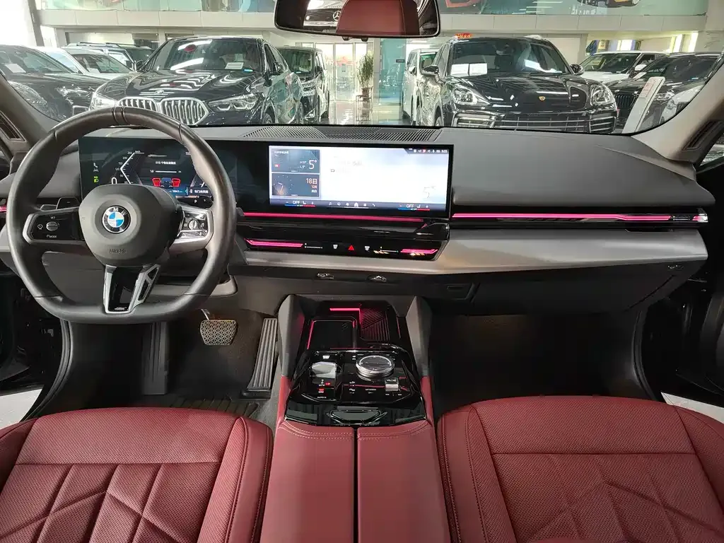 BMW 5 Series 2025 из CN, фото 9