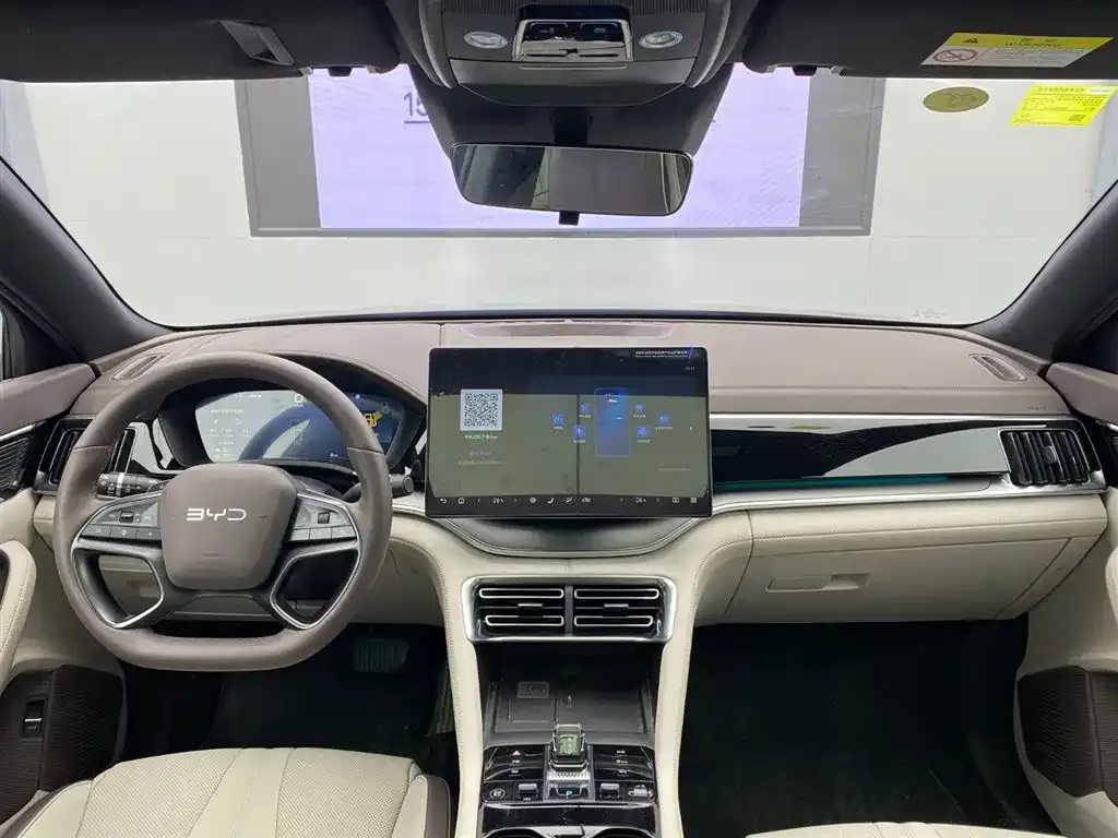 BYD PLUS New Energy — фото 10