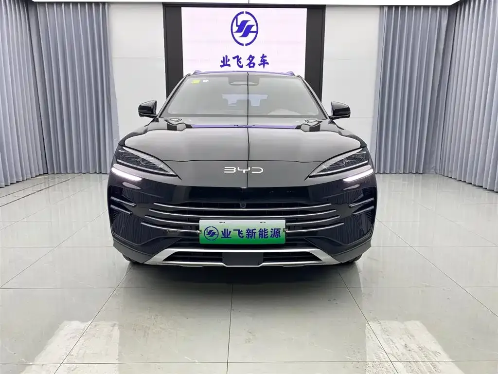 BYD PLUS New Energy — фото 2