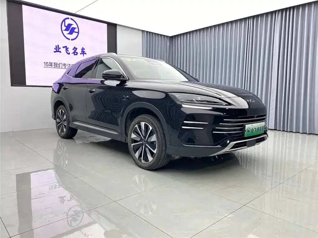 BYD PLUS New Energy — фото 3
