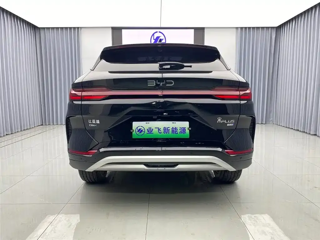 BYD PLUS New Energy — фото 5