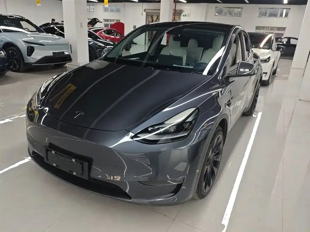 Tesla Model Y 2021 из CN, фото 1