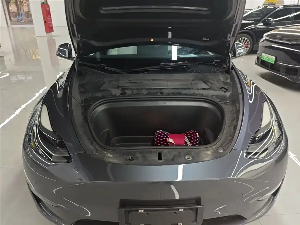 Tesla Model Y 2021 из CN, фото 10