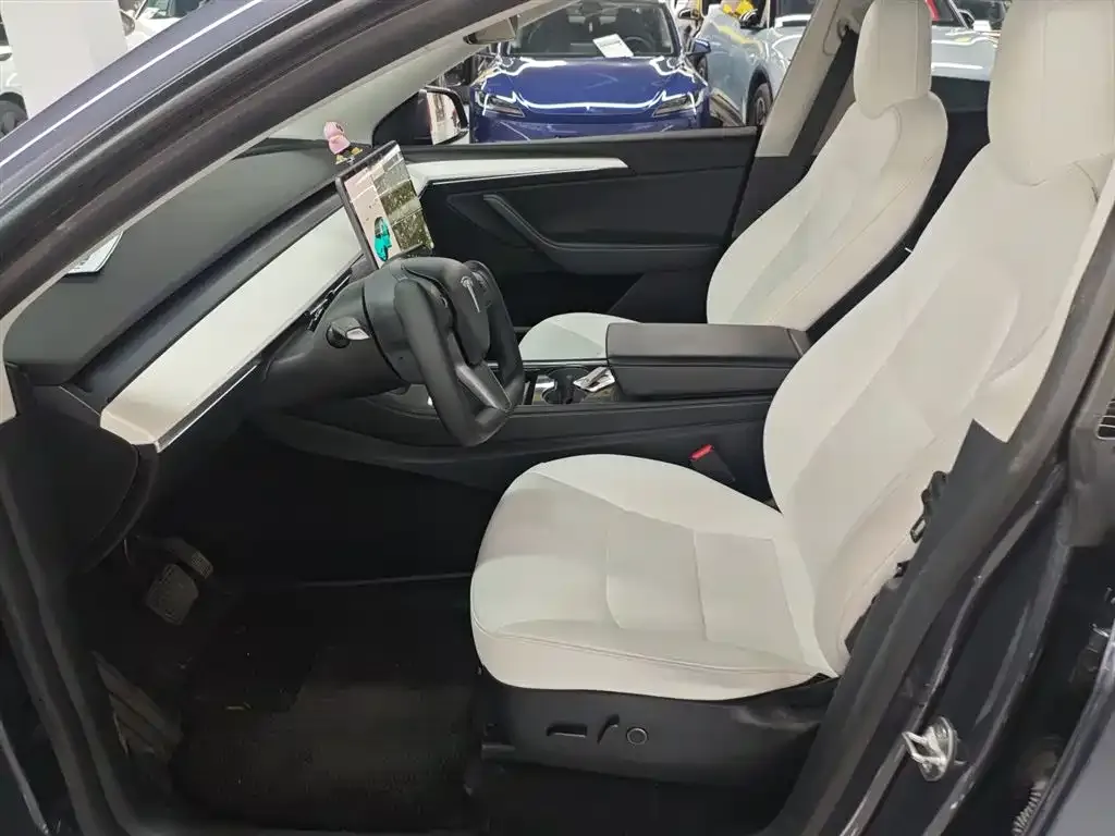 Tesla Model Y 2021 из CN, фото 7
