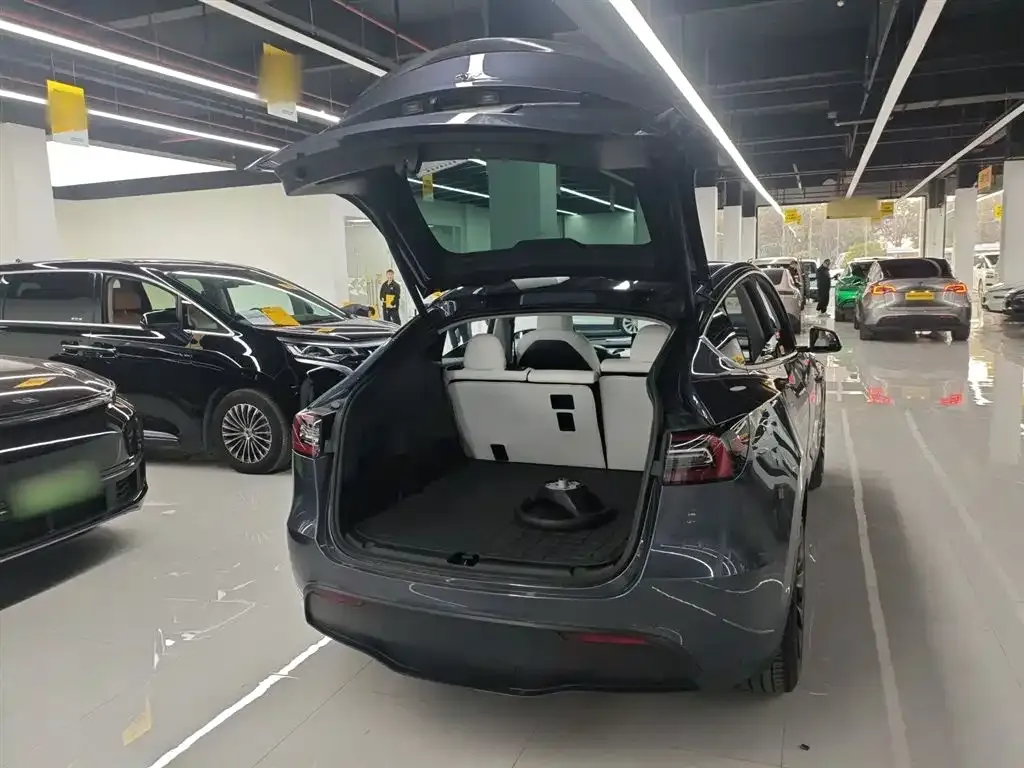 Tesla Model Y 2021 из CN, фото 9