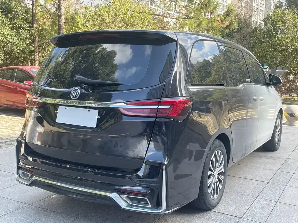 Buick GL8 2021 из CN, фото 8