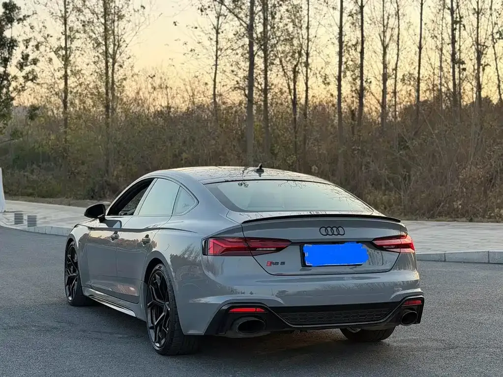 Audi RS 5 — фото 8