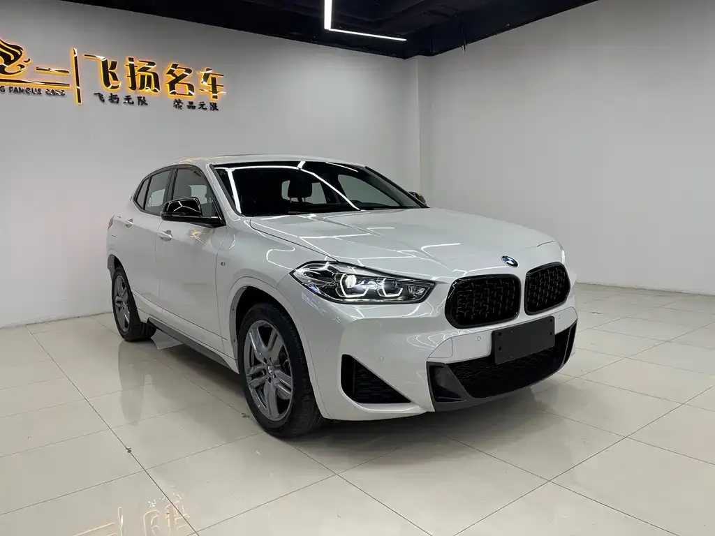 BMW X2 2023 из CN, фото 7