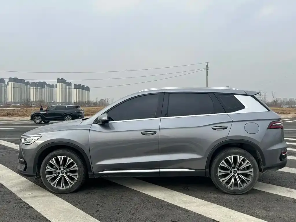 BYD Pro New Energy 2023 из CN, фото 2