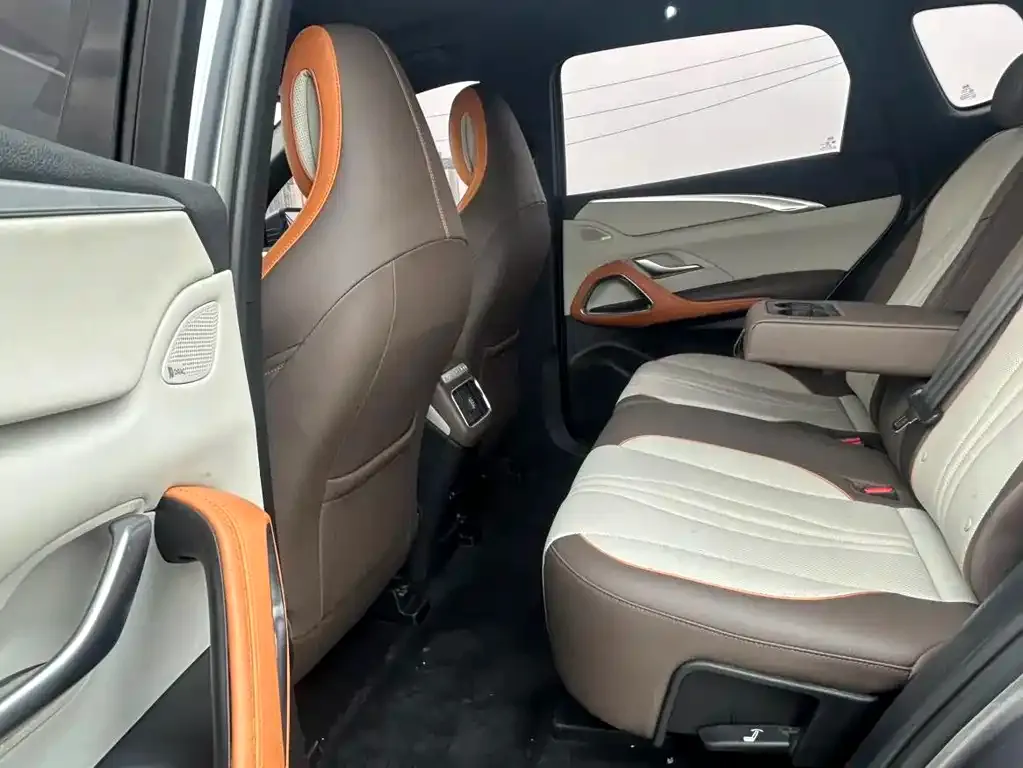 BYD Pro New Energy 2023 из CN, фото 3