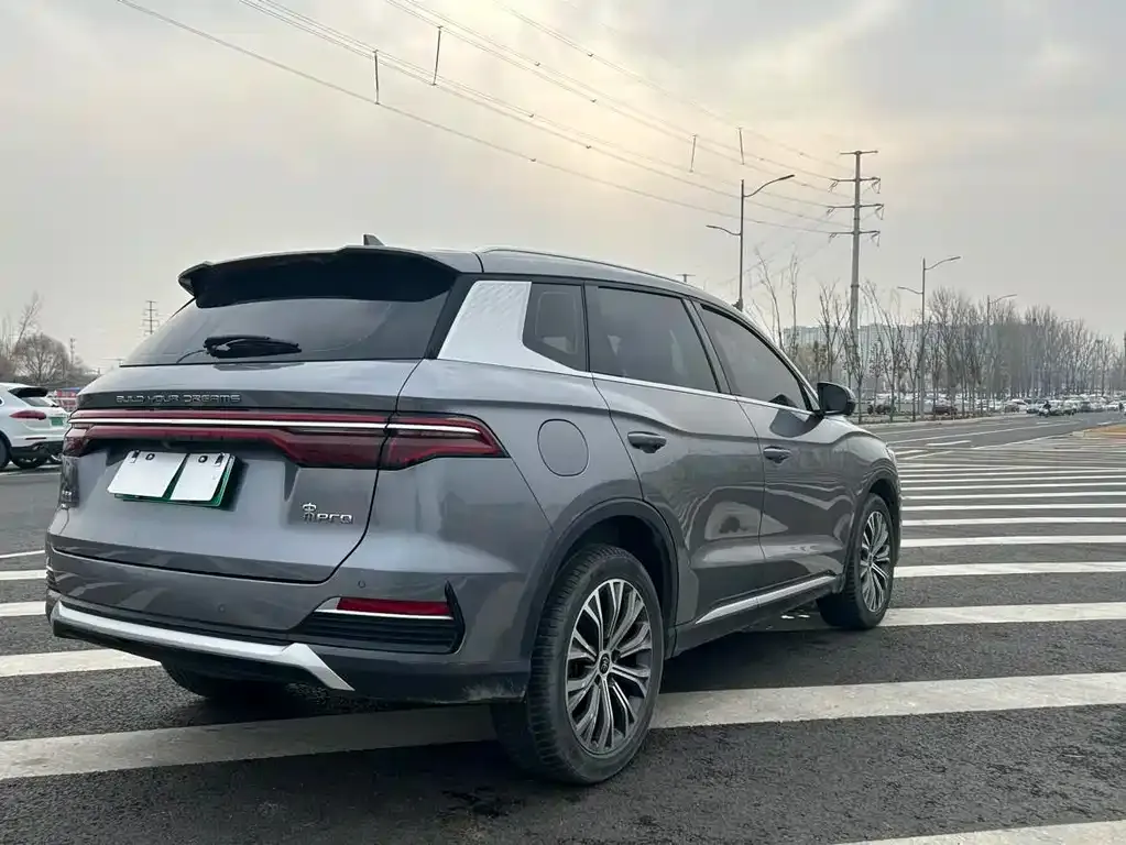 BYD Pro New Energy 2023 из CN, фото 6
