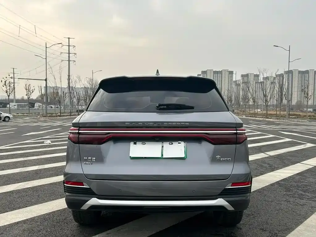 BYD Pro New Energy 2023 из CN, фото 4