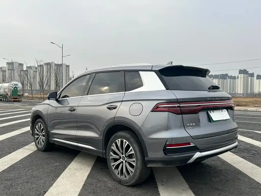 BYD Pro New Energy 2023 из CN, фото 9