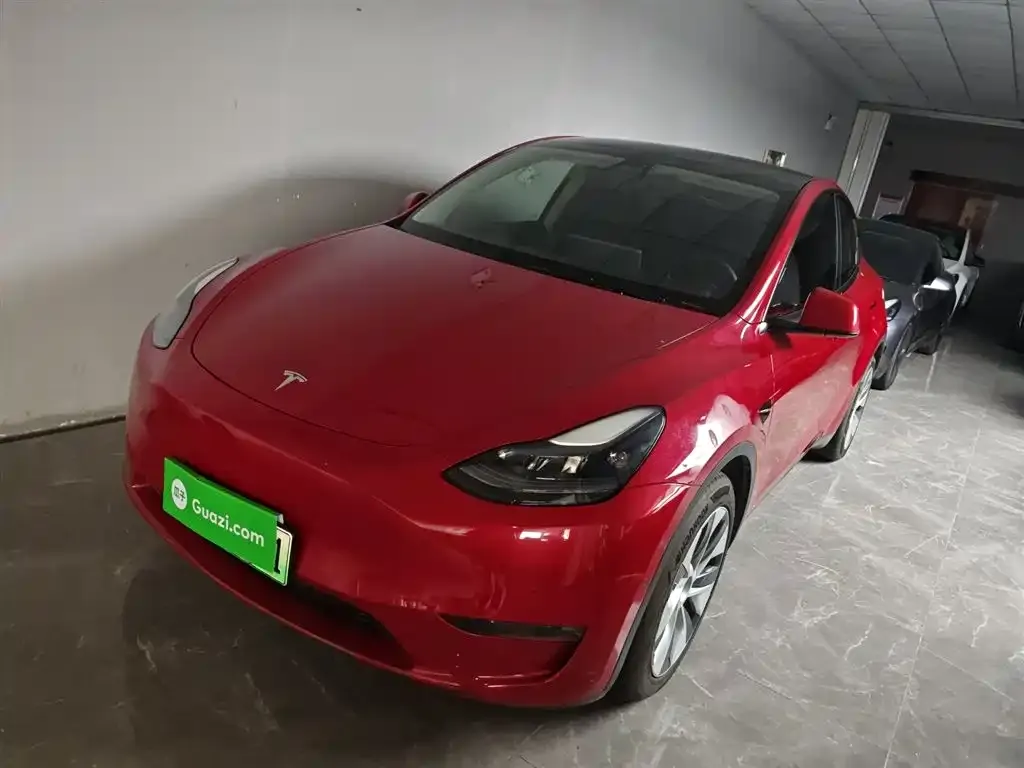 Tesla Model Y 2021 из CN, фото 1