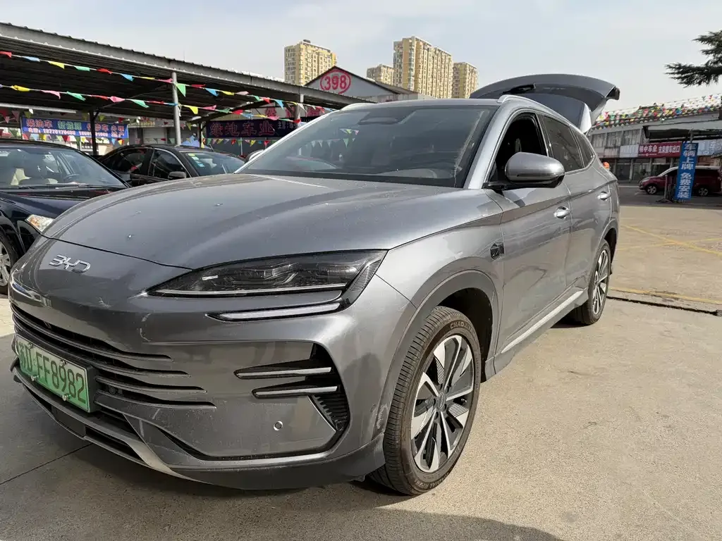 BYD PLUS New Energy — фото 1