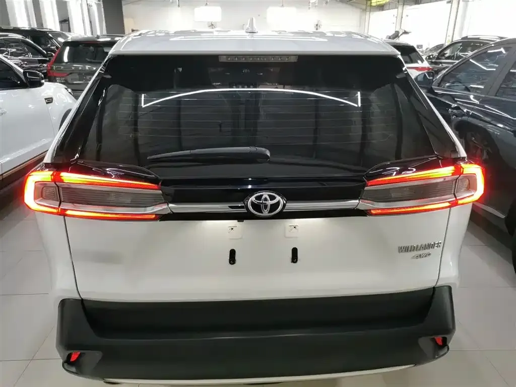 Toyota Wildlander 2022 из CN, фото 8