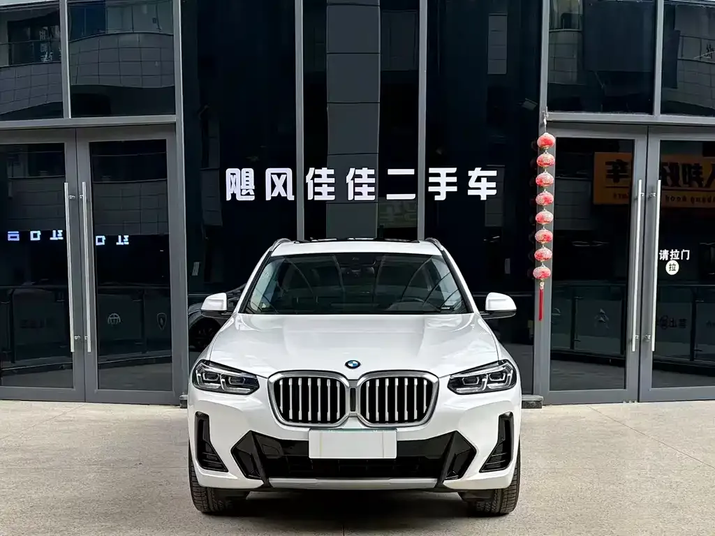 BMW X3 2021 из CN, фото 3