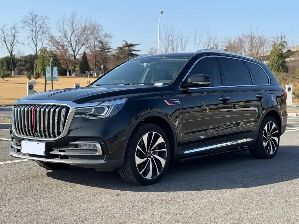 Hongqi HS7 2021 из CN, фото 1