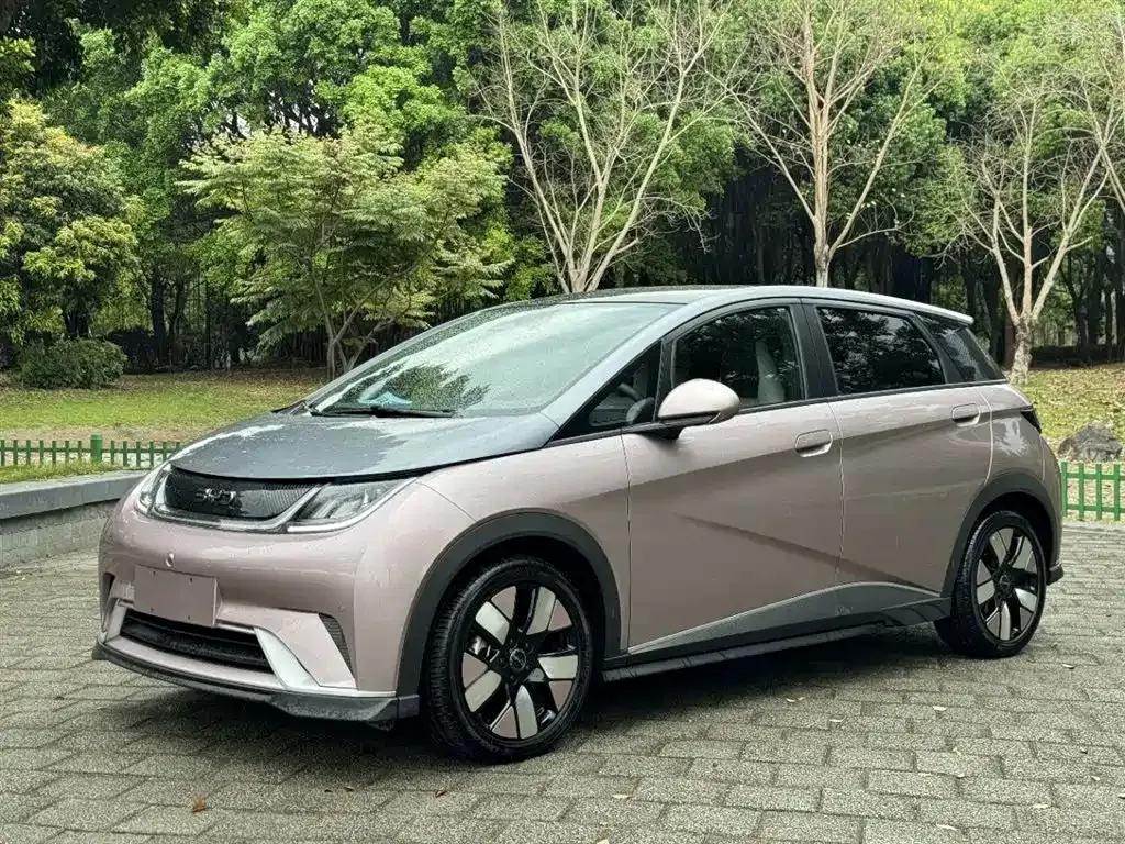 BYD Dolphin 2024 из CN, фото 1