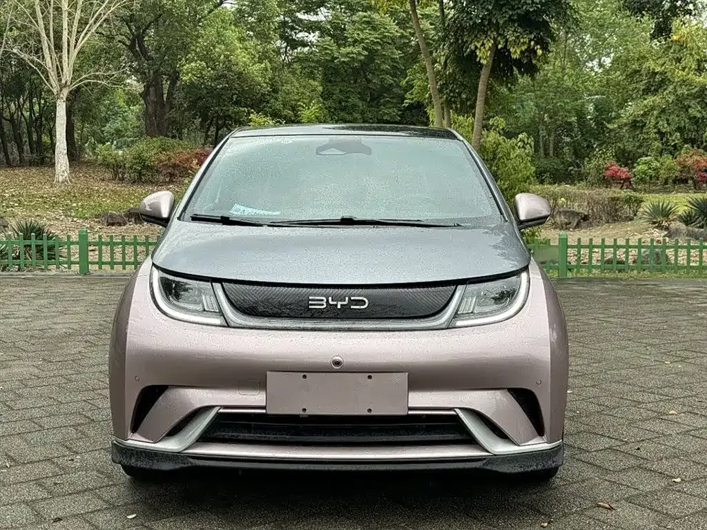 BYD Dolphin 2024 из CN, фото 10