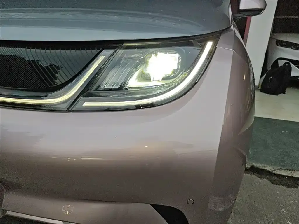 BYD Dolphin 2024 из CN, фото 3