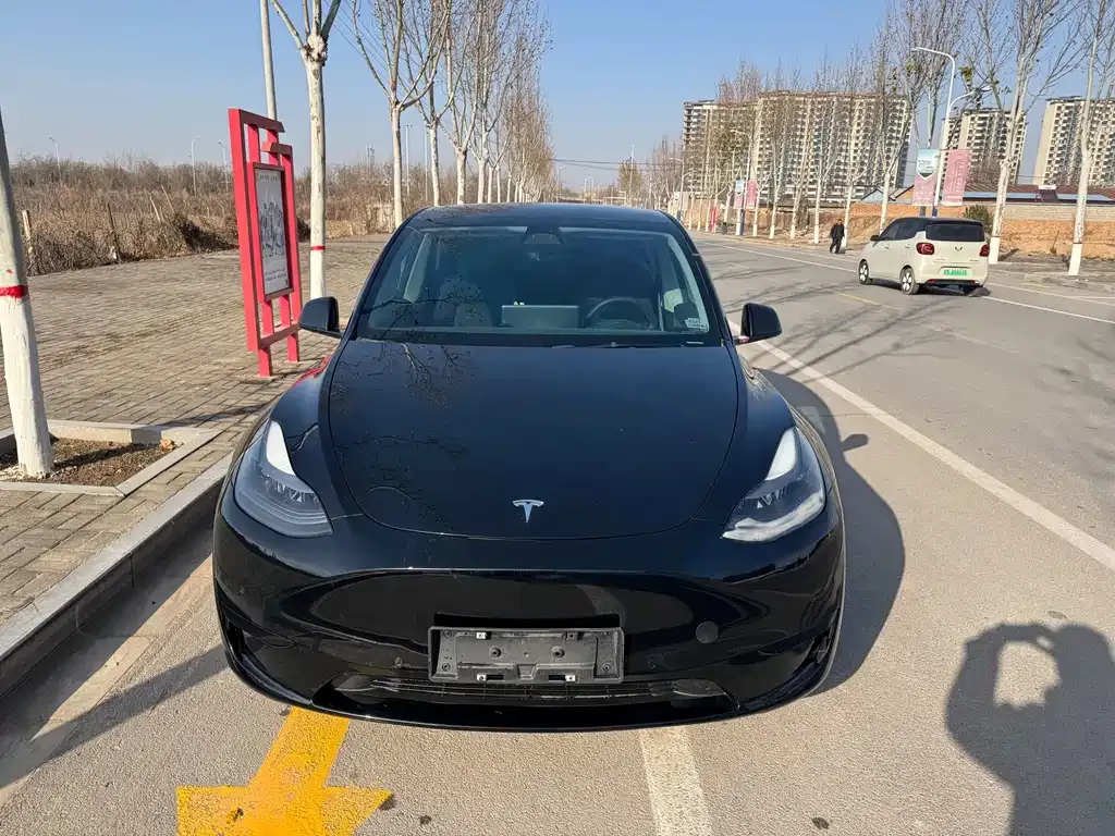 Tesla Model Y 2023 из CN, фото 2
