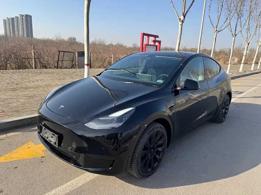Tesla Model Y 2023 из CN, фото 3
