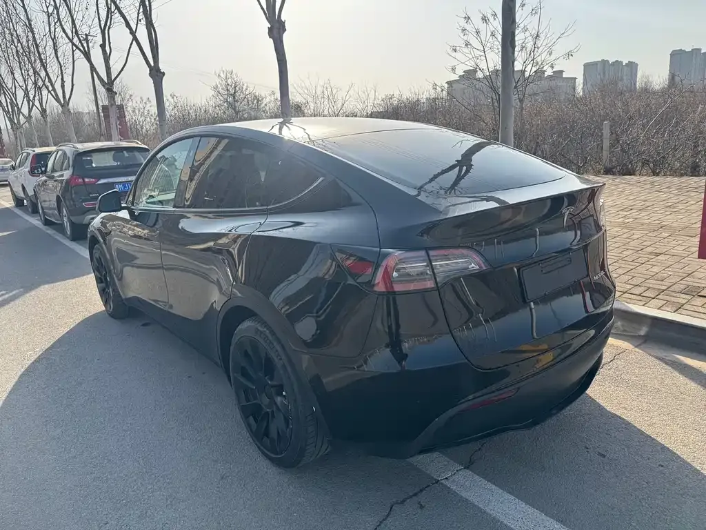 Tesla Model Y 2023 из CN, фото 4