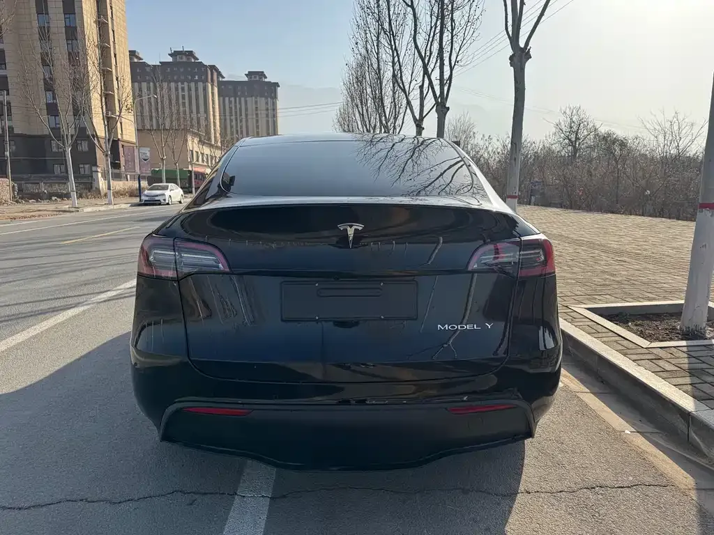 Tesla Model Y 2023 из CN, фото 5