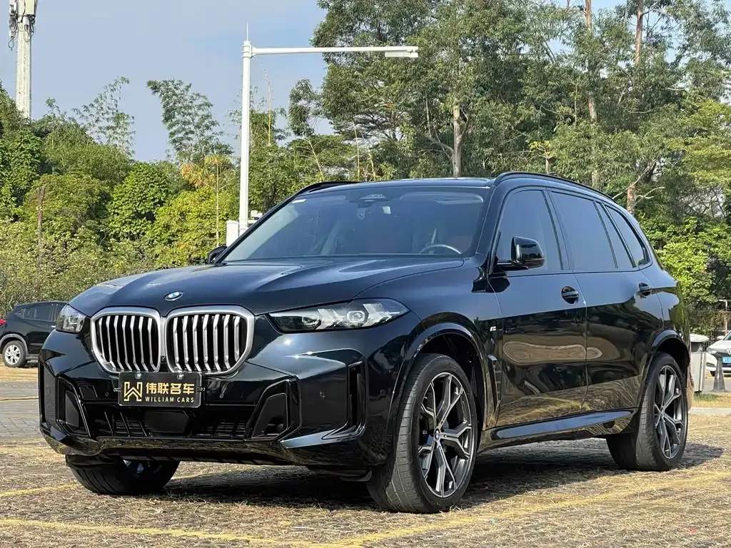 BMW X5 — фото 1