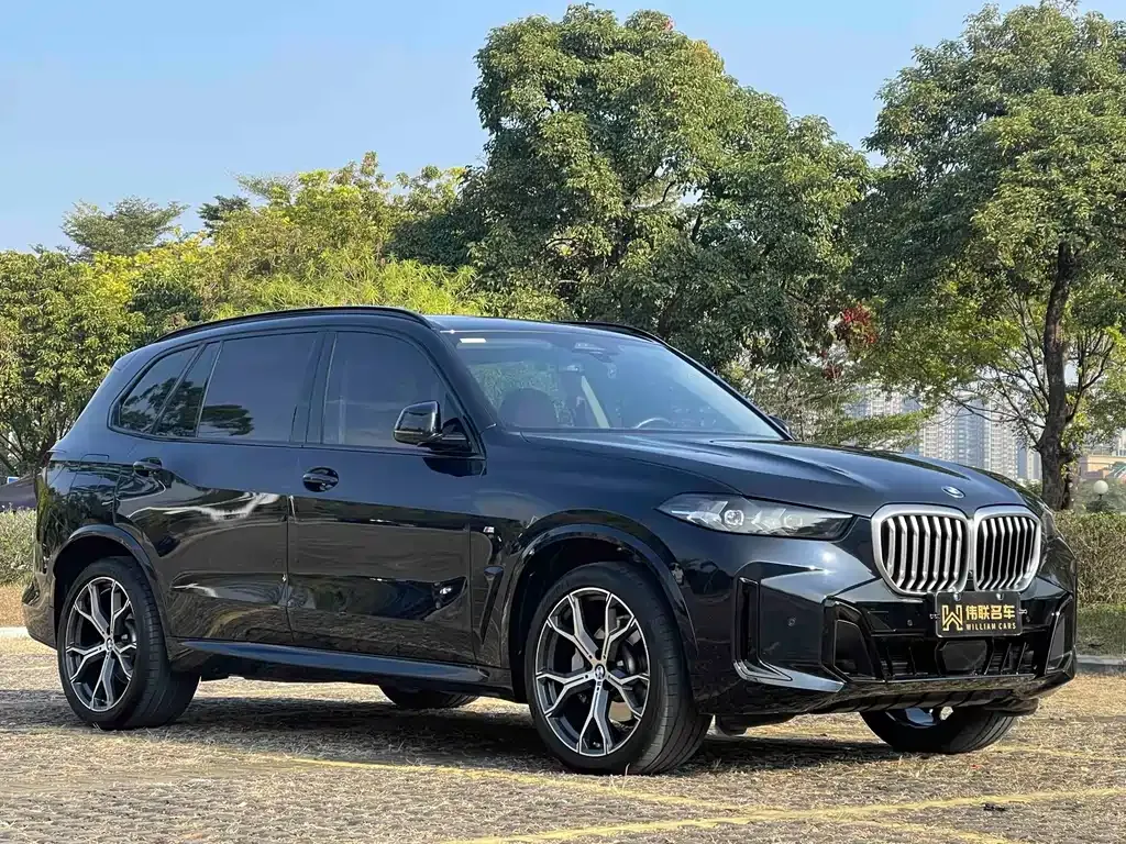 BMW X5 — фото 10