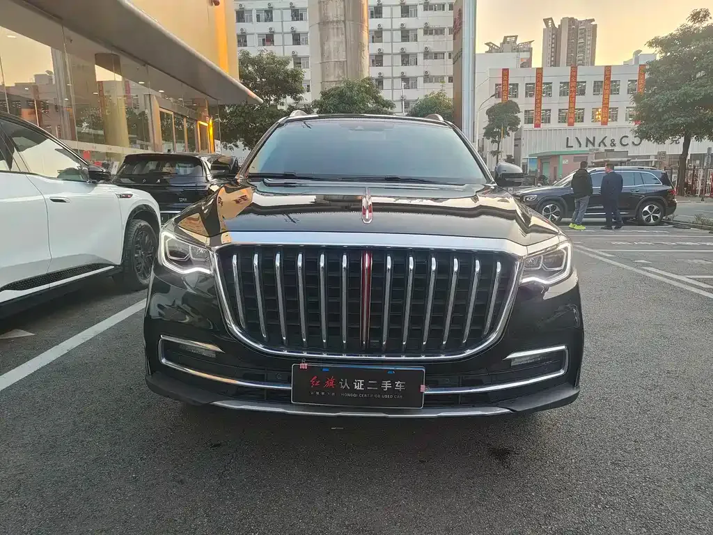 Hongqi HS7 2022 из CN, фото 10