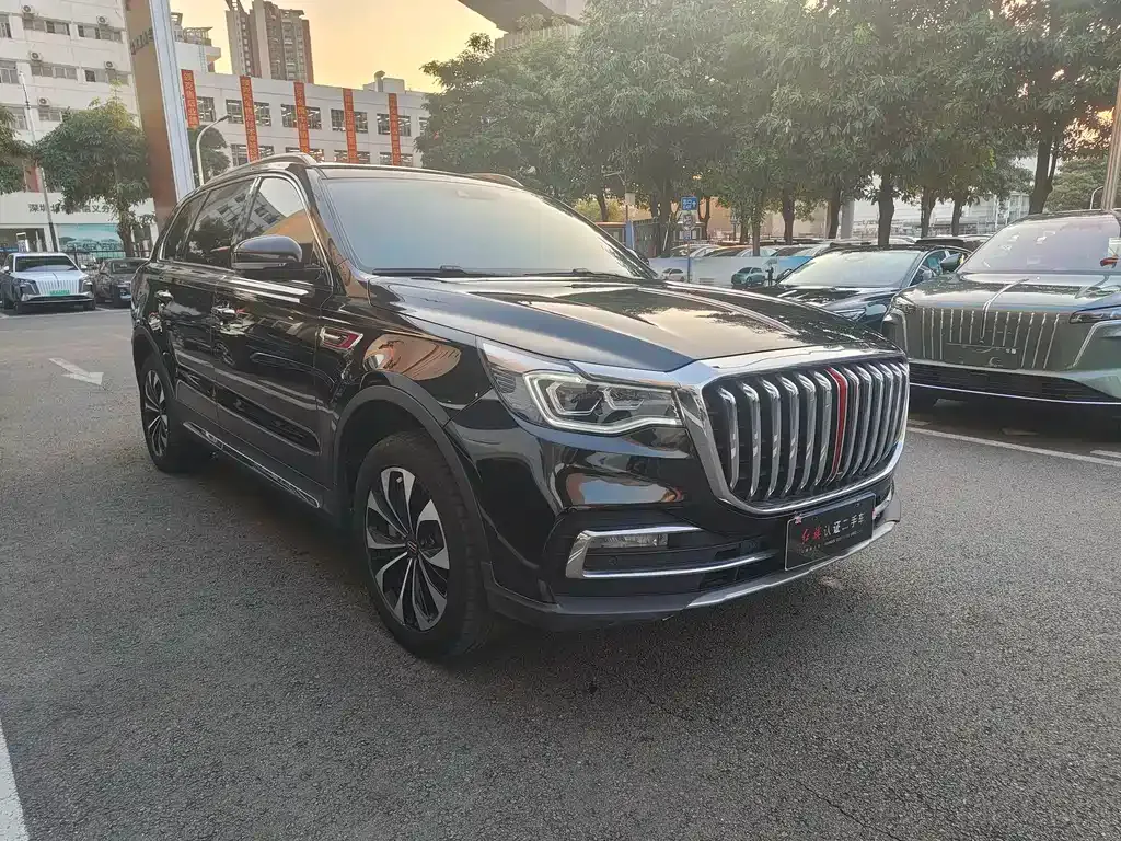 Hongqi HS7 2022 из CN, фото 9