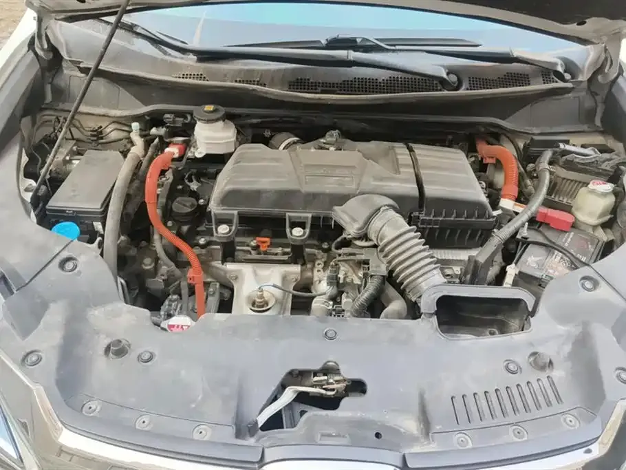 [object Object] Elysion 2021 из CN, фото 10