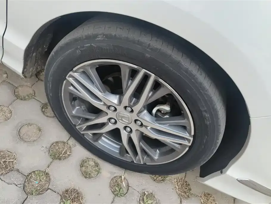 [object Object] Elysion 2021 из CN, фото 6