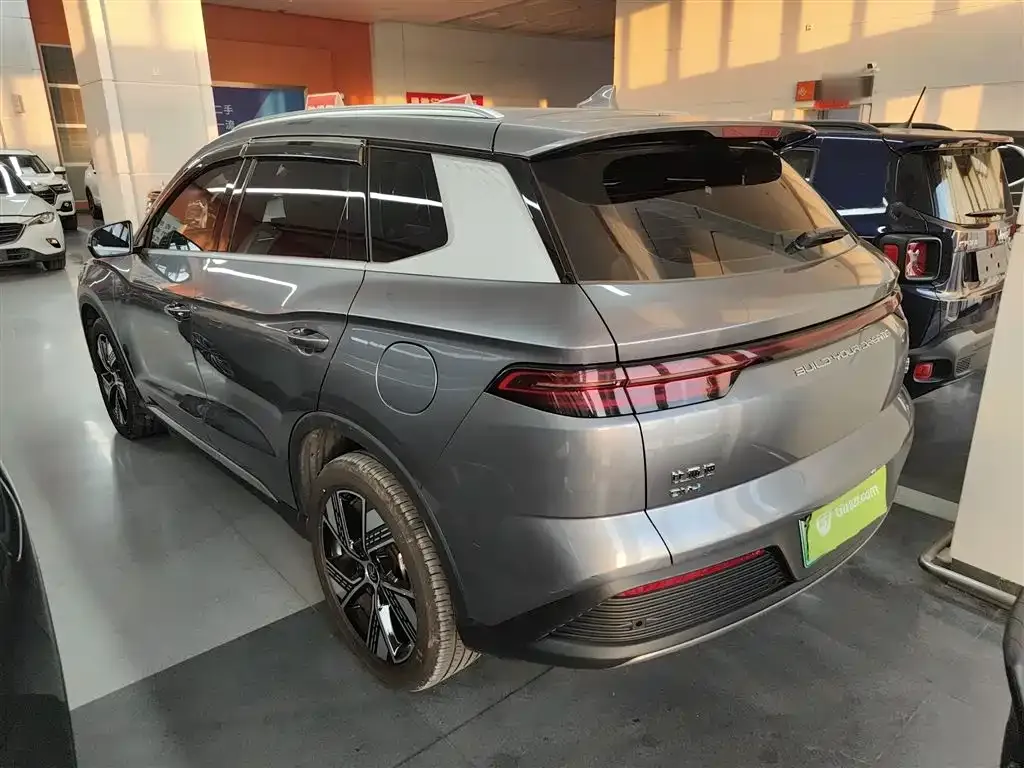 BYD Pro New Energy — фото 5
