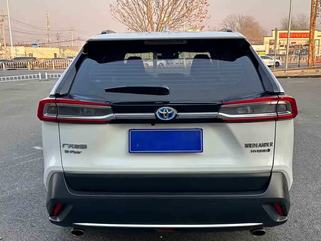 Toyota Wildlander 2023 из CN, фото 9