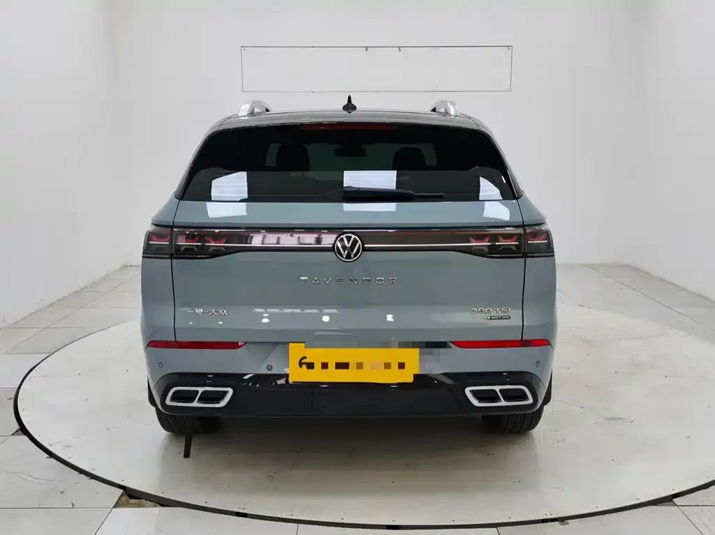 Volkswagen Tavendor 2023 из CN, фото 4